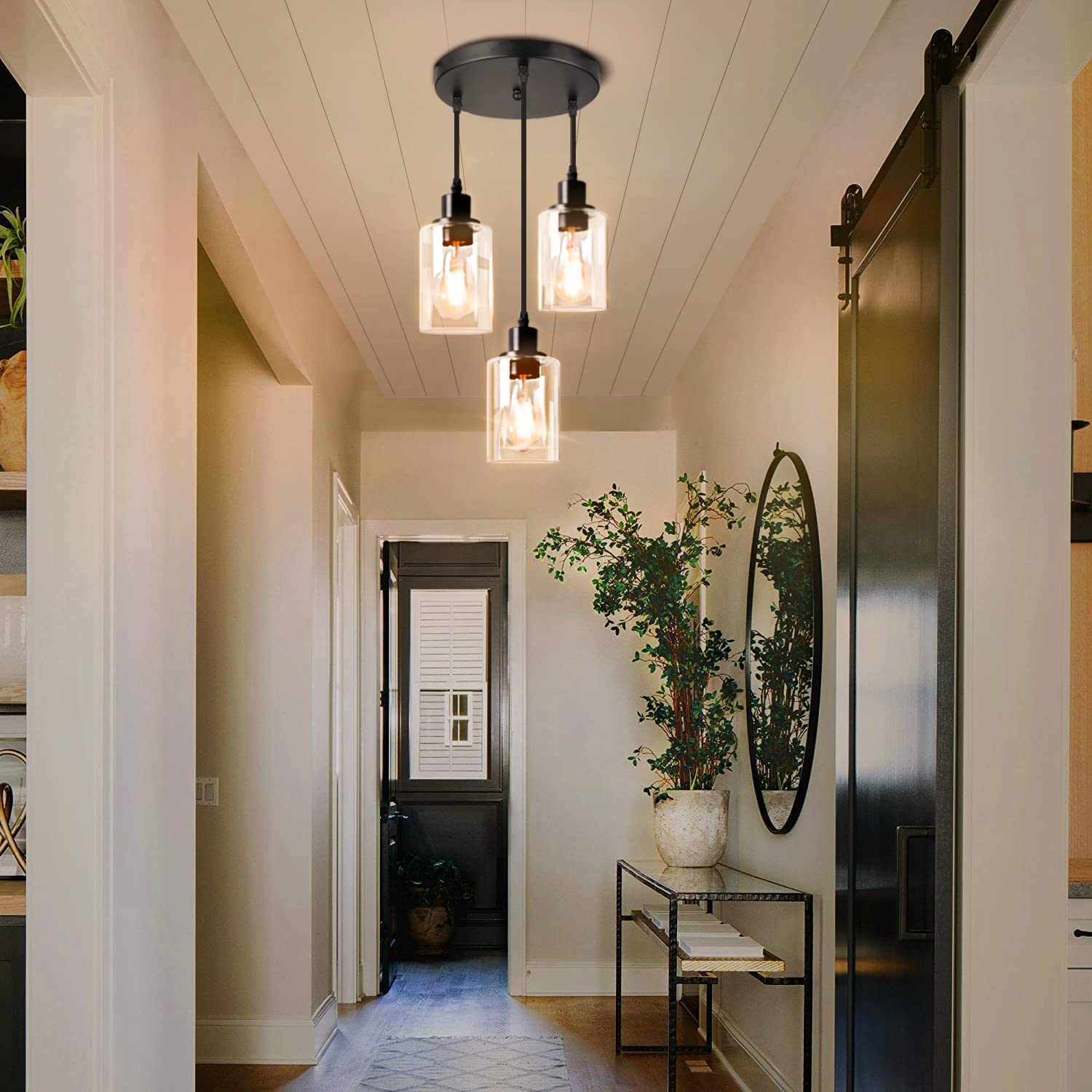 3-Light Ceiling light Fixture Black Vintage Cluster Hanging