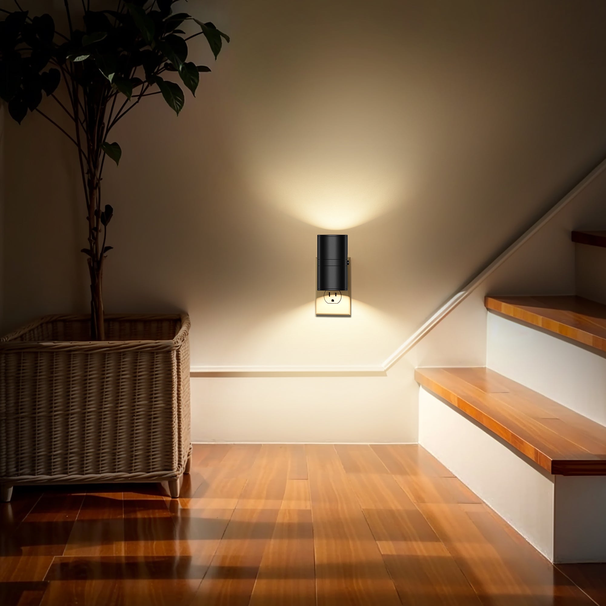 Plug-in Night Light Wall Sconce Style